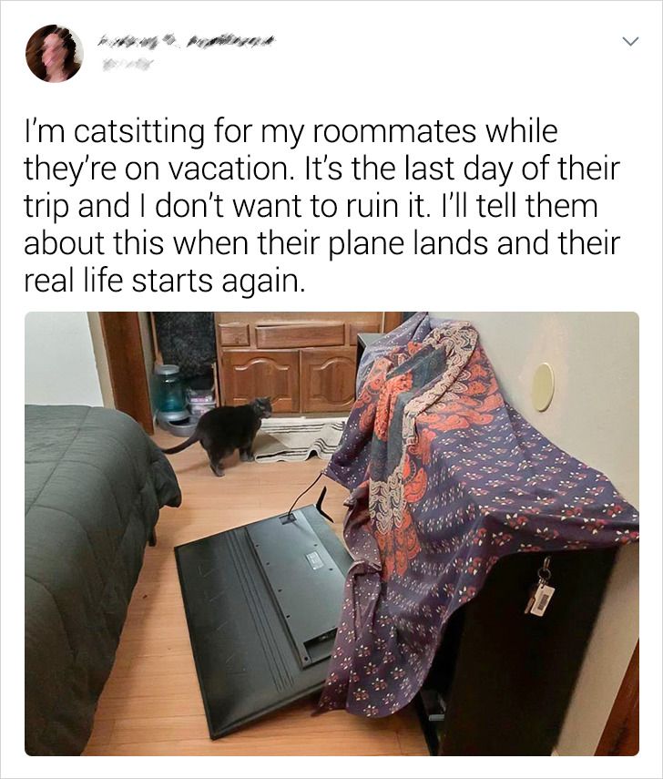 8c360453c89e7aab7c4a6b6053