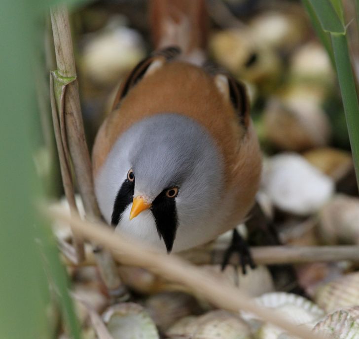 8c3d325eca91c1aeb2df1d9b21