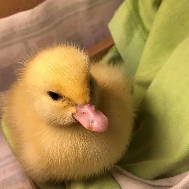 8c3df951b0b8a4b7241b62562a