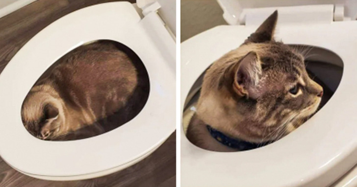 8c41d65116bb2503683b4b8213 8c41d65116bb2503683b4b8213