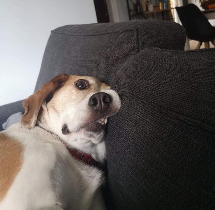 8c50be5788a7225cd22d23c0b9