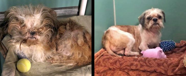 8c51d05d97a8e883ec31521569