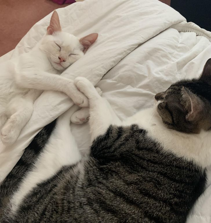 8c53605709beff2754bea26cdc 8c53605709beff2754bea26cdc