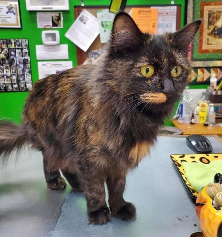 8c539257819dac681eaeb4cc14