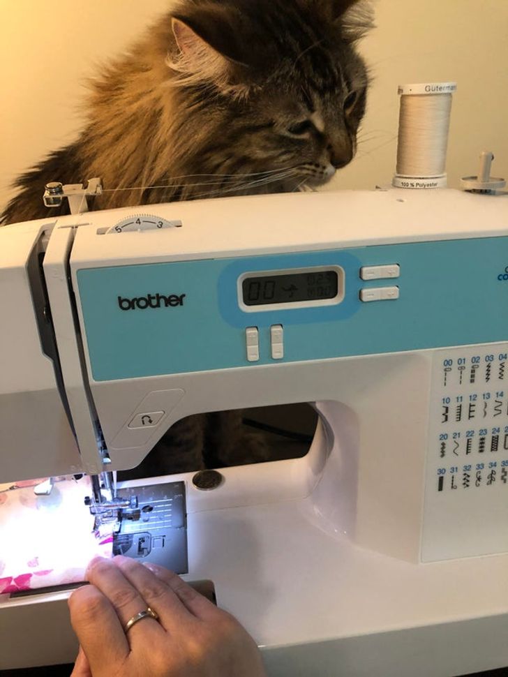 8c59c5565db1e76f135ea54a28