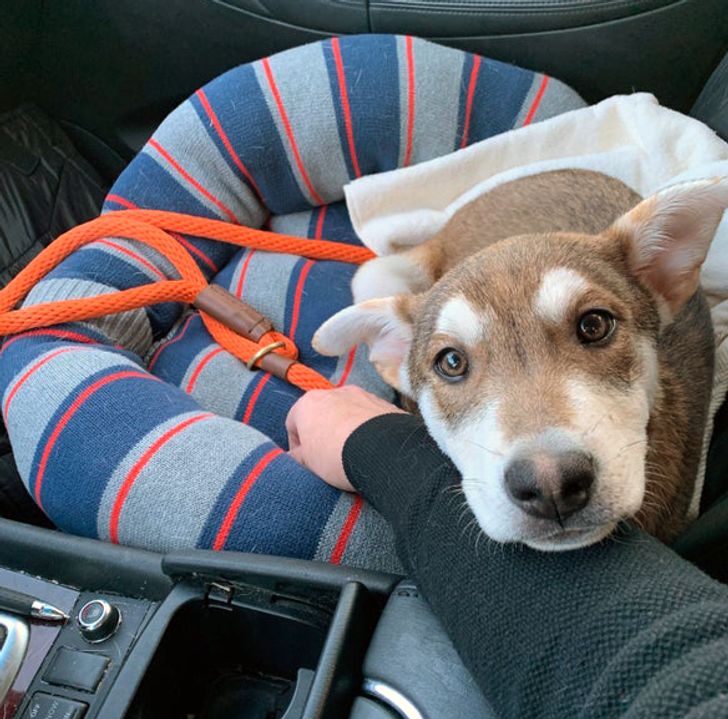 8c5bbe5e3b94a9278fe87c8b0c