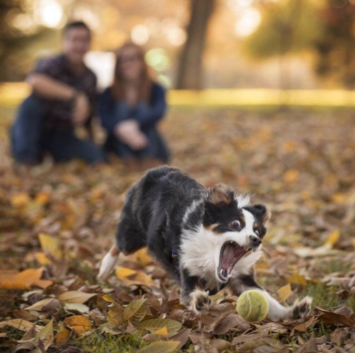 8c5da9575b92ddf3cafffaa668