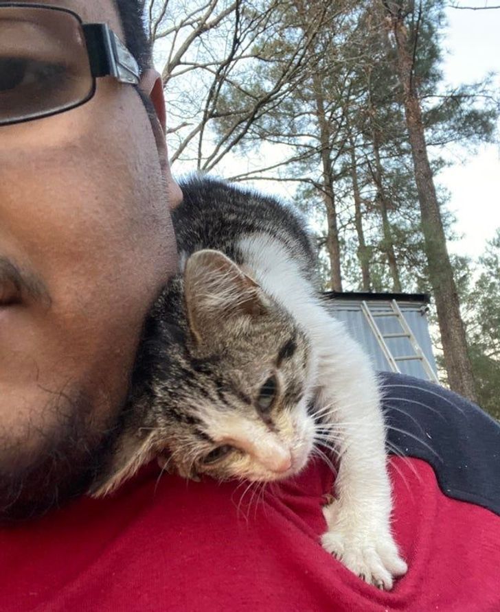 8c5e6c5e01a9ab63177d819a24