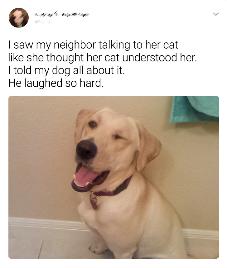 8c76e85928aec49c82290a1071