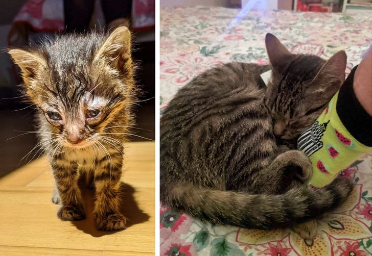 8c808b5920b7df32ed126c8078