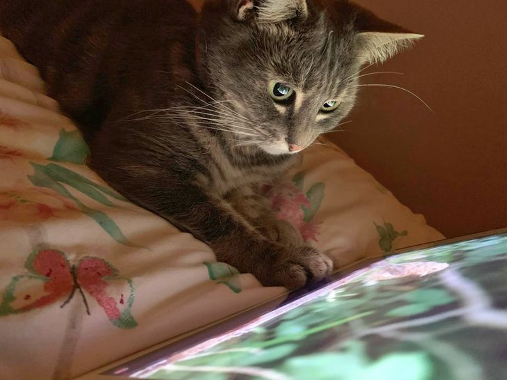 8c812f537587d5ea4cbda2042a