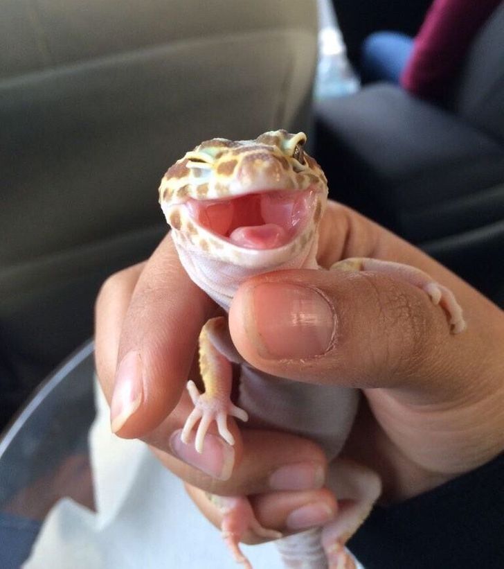 8c8619536abdfc1a333bdc4103