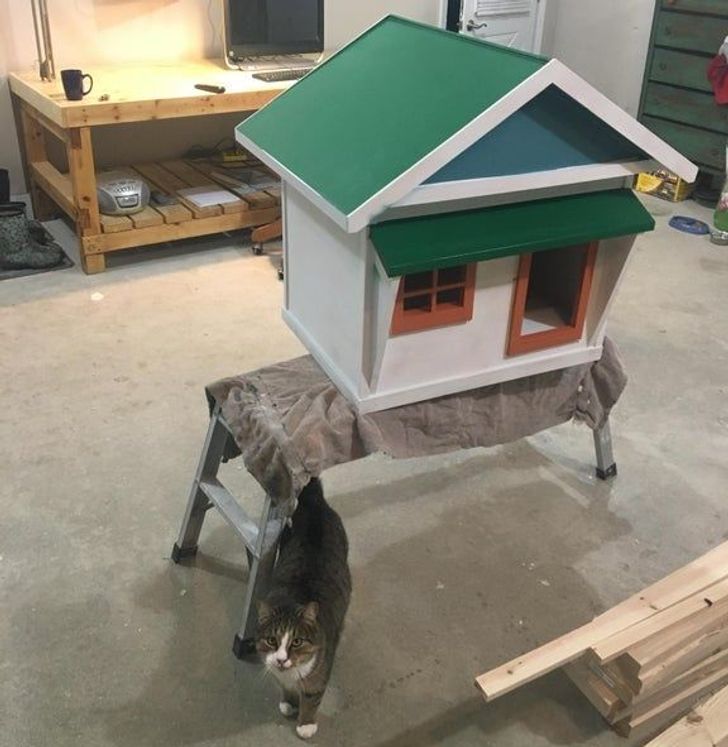 8c871852659396bc0cd104b80f