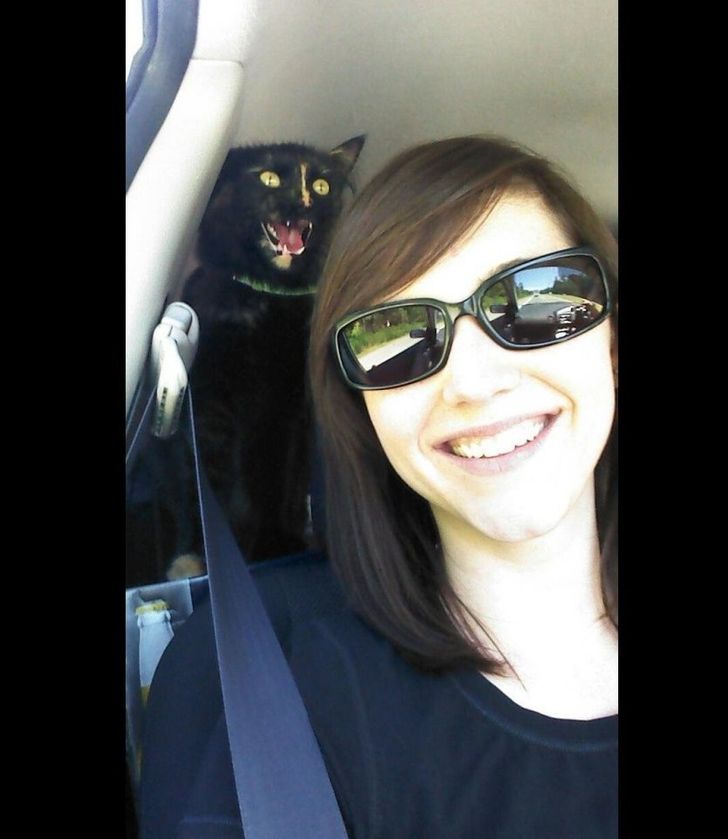 8c8f1356ecbab6e046ffdd19db