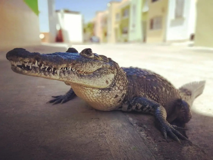 8c95455166bb4515888705e7b7