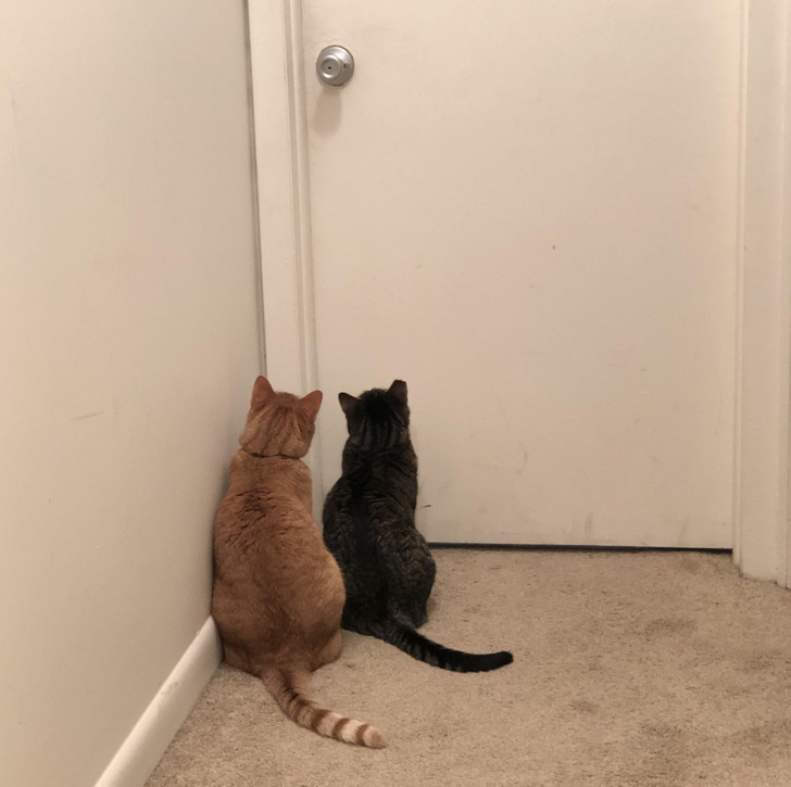 8ca5c55f10ab28983b055a175b