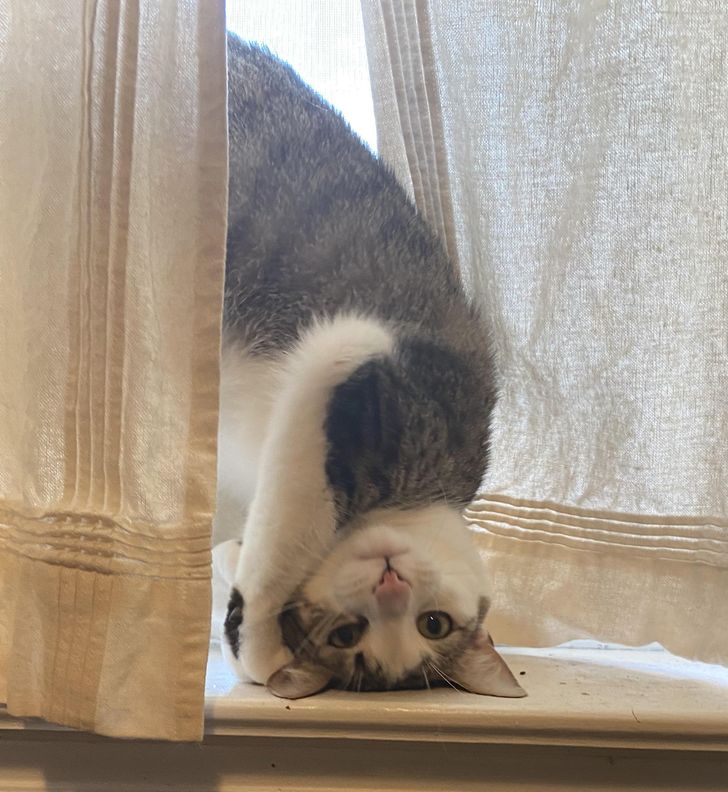 8ca5e25004afd49d178ababa3c