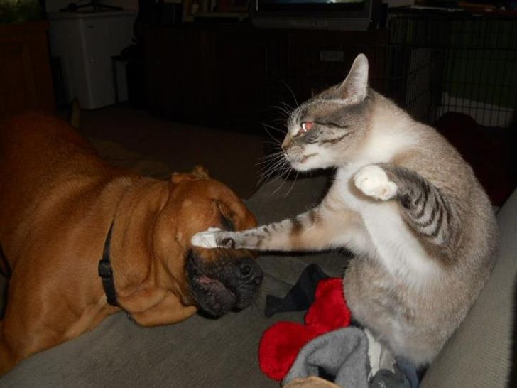 8cacb553f49506e24070c5ac2f