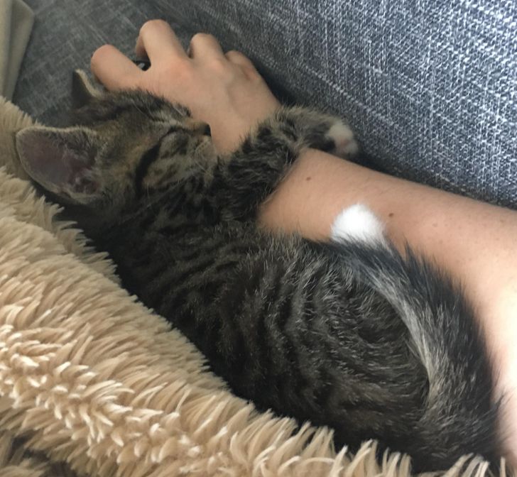 8cb8865294b09c3eeac63886f4