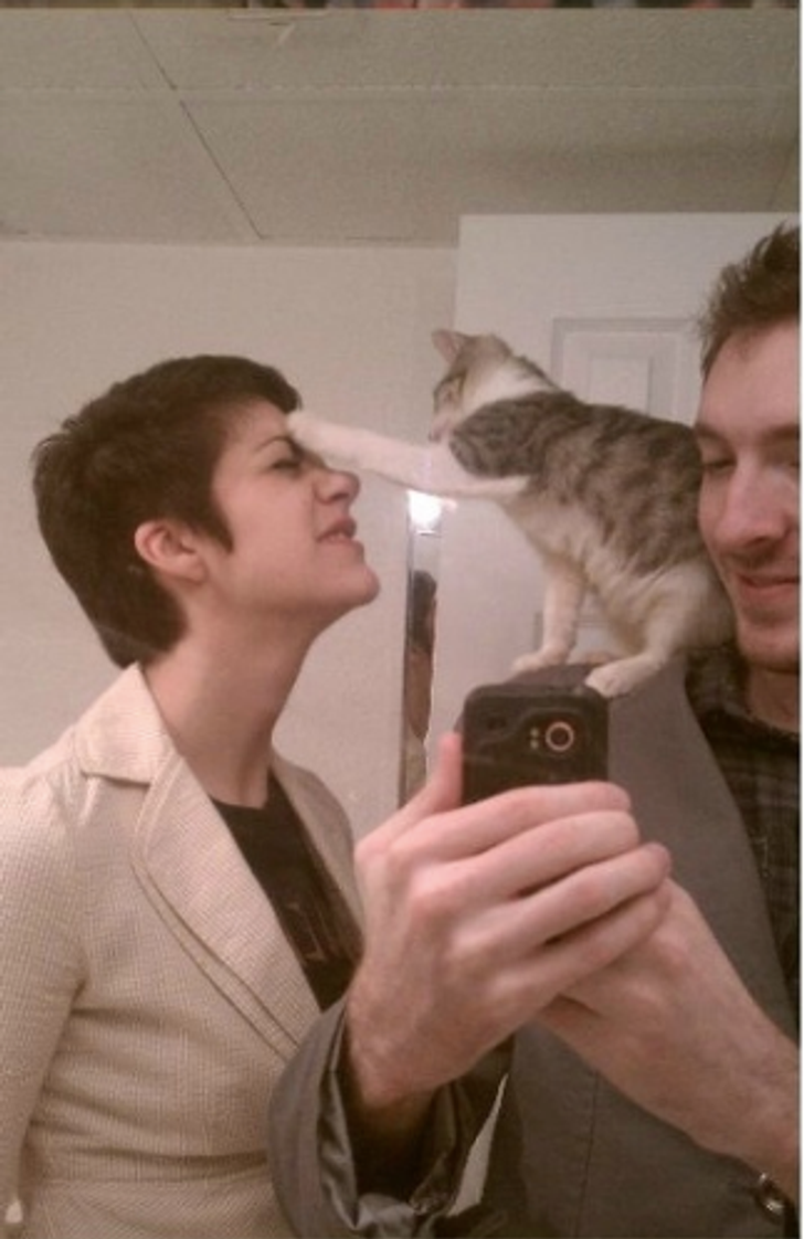 8cbd7859c9ac44cb7f814b0a39