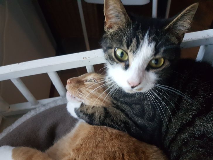 8cc0345d17afda095e1345155f 8cc0345d17afda095e1345155f