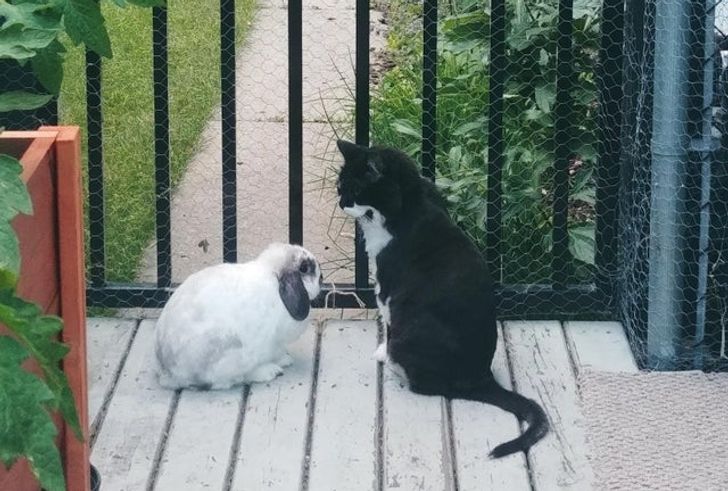 8cc20752a6841bc371ffebd32e