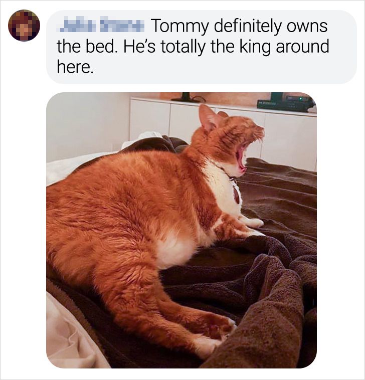 8cc5cc53989fde36c6fe303853