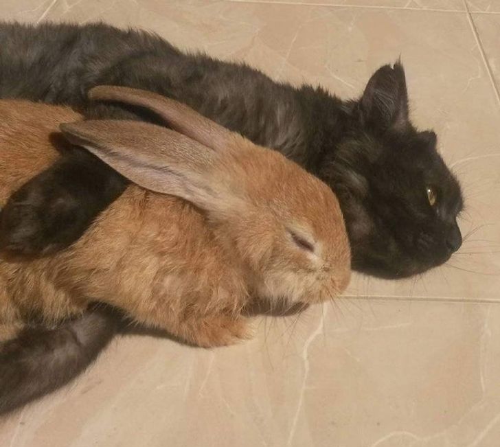 8cce0359a7af3c91c39ab678d9