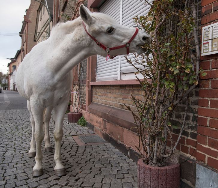 8cd040529b91235d388c69f7fd