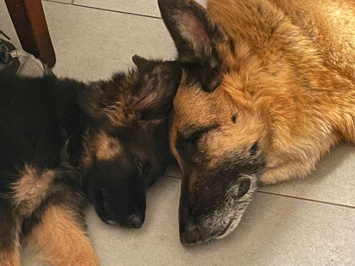 8cd5ca5ce69f0e14ba3bff2f1c 8cd5ca5ce69f0e14ba3bff2f1c