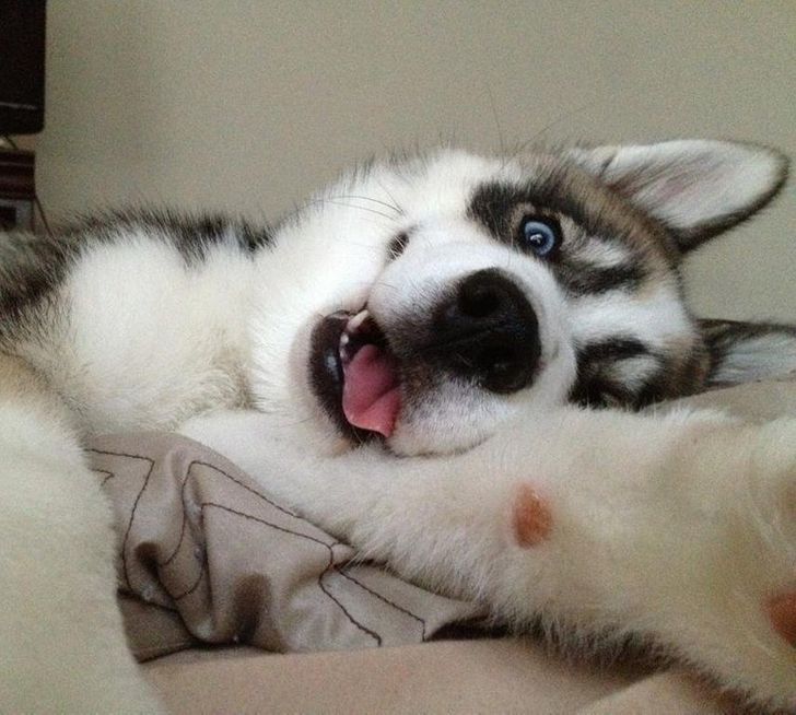 8ce0c15f5ca8b4912c16818fcd