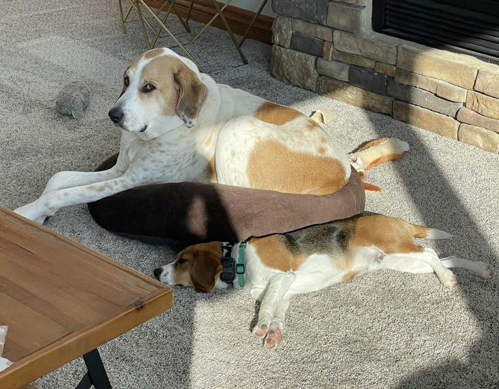 8ce1f957c19de0eadb4f95d172