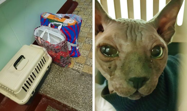 8ce3f3512c860d93724bbd9ee3