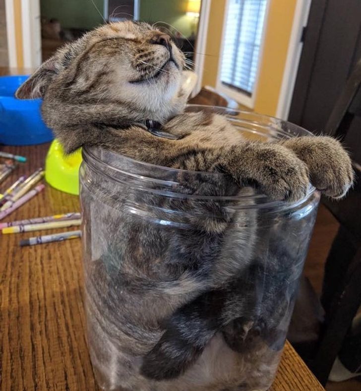 8cec8858fb85dba40a8cb6cf1e