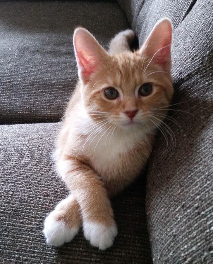 8ceee35936b66d8ad5895fb3f4