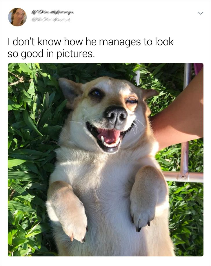 8cf0235fb8adac615f16a00b43