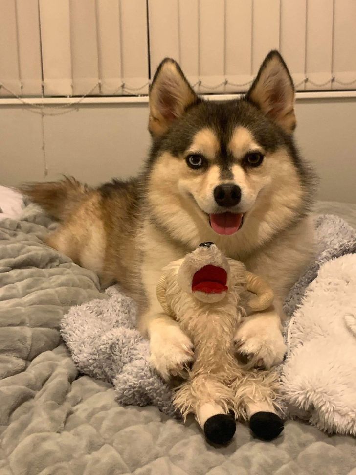 8cf89f5996b81288a94b24d9fe