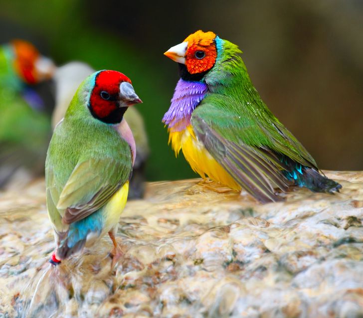 8d00755c52a1ee1ae10d840c0e