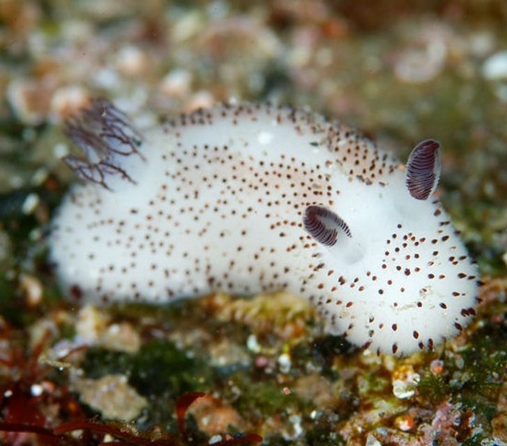 8d024151ed9e137ebaab9d2cc2