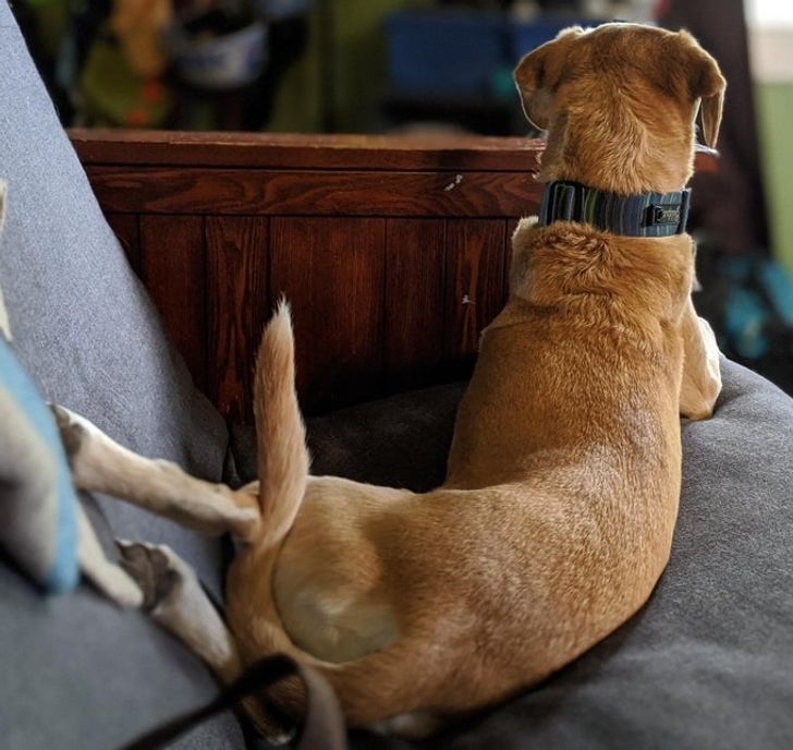 8d0c745da3b2f68fdc1fc15556