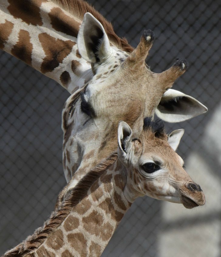 8d16135c75a2905cf00803c2a9