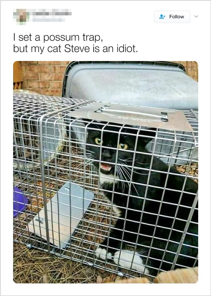 8d193950bebb89d7c255523659