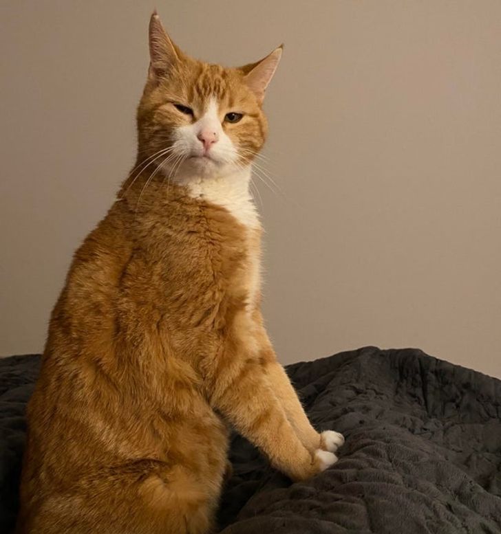 8d1bab52e79fe06367c635f425