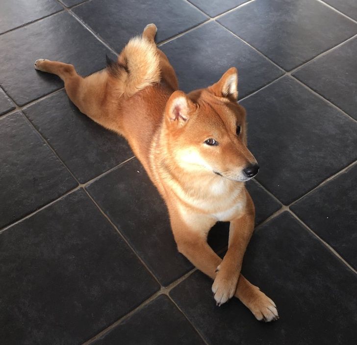 8d1f7f5ba4bce9fc37004eb140