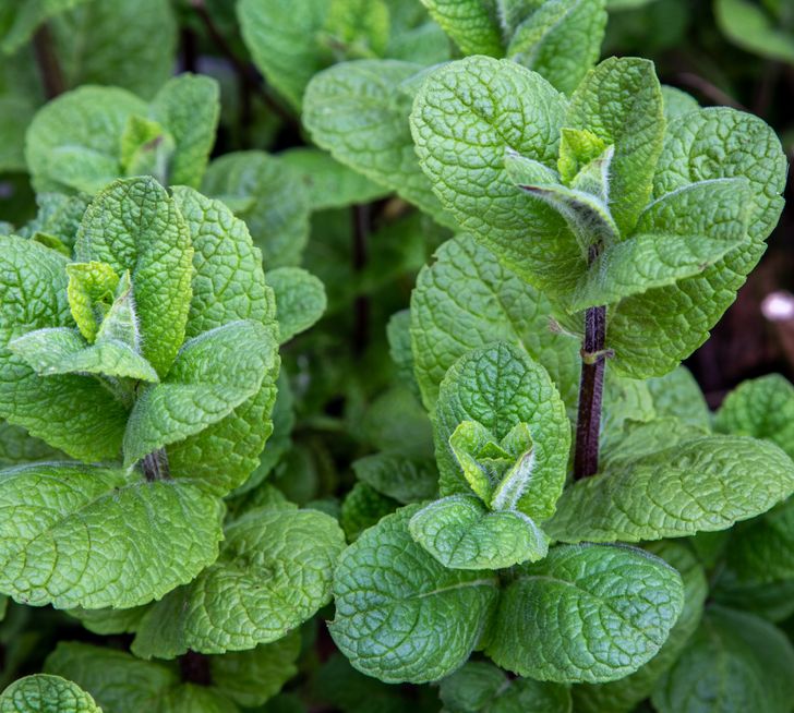 8d21935d9984c98b99b97dcbfe