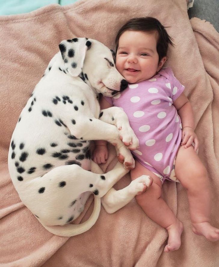 8d25b95251a941e7763b166fc4