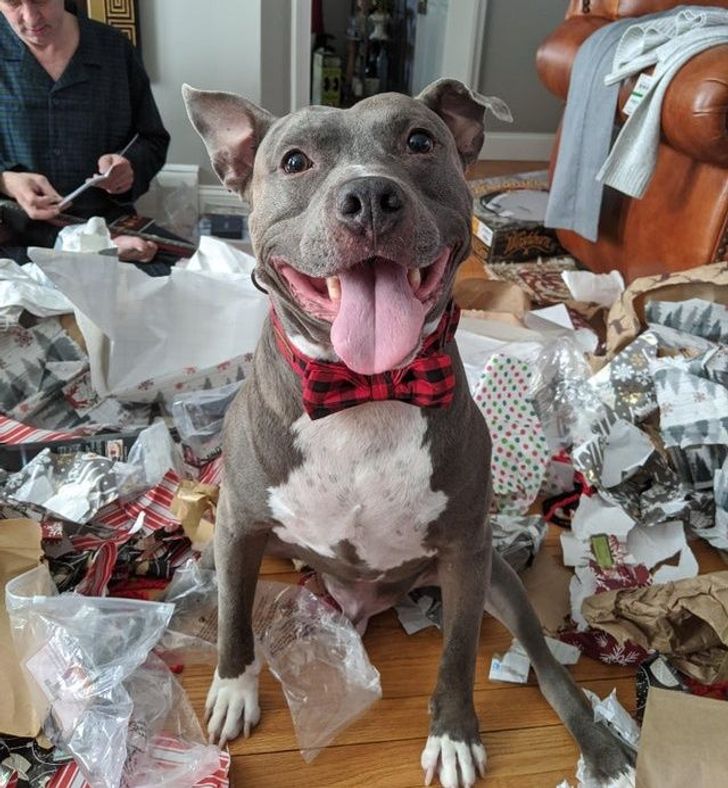 8d26ae5fba94ecffb462a10b36