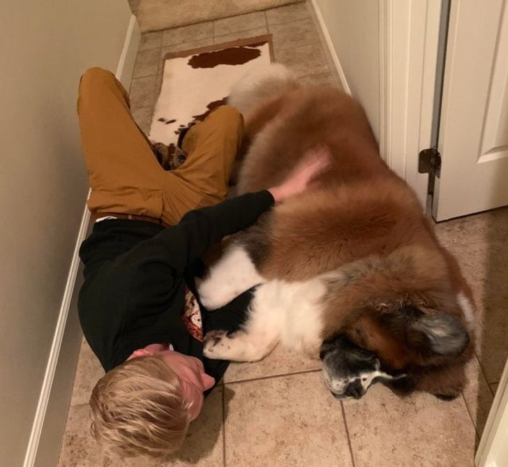 8d28bb533c9bff9cd3494742c0