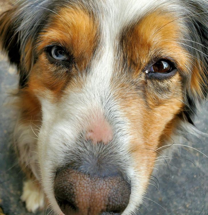 8d2bf451078beb857fbfe18c2a