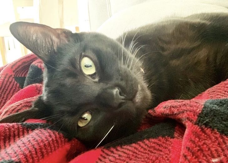 8d2de15280af837e036ea7d02c